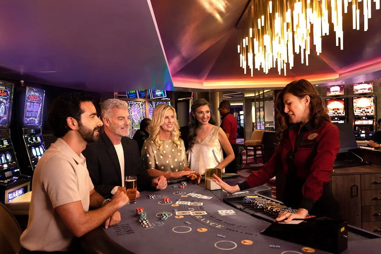 Live dealer studio atmosphere